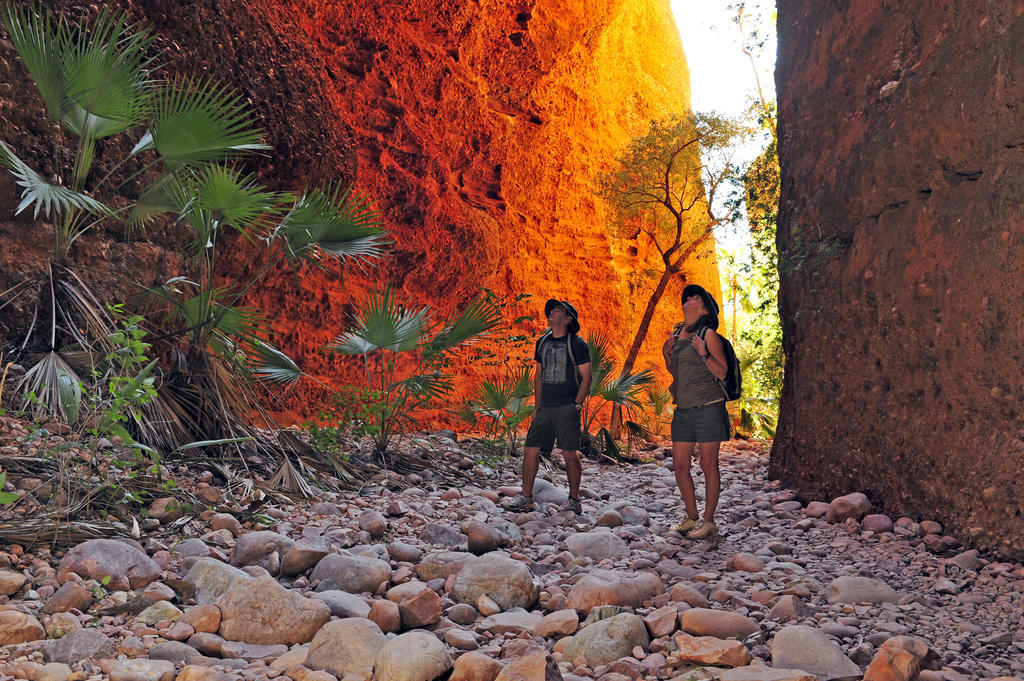 Bungle Bungle Wilderness Lodge Turkey Creek Eksteriør bilde
