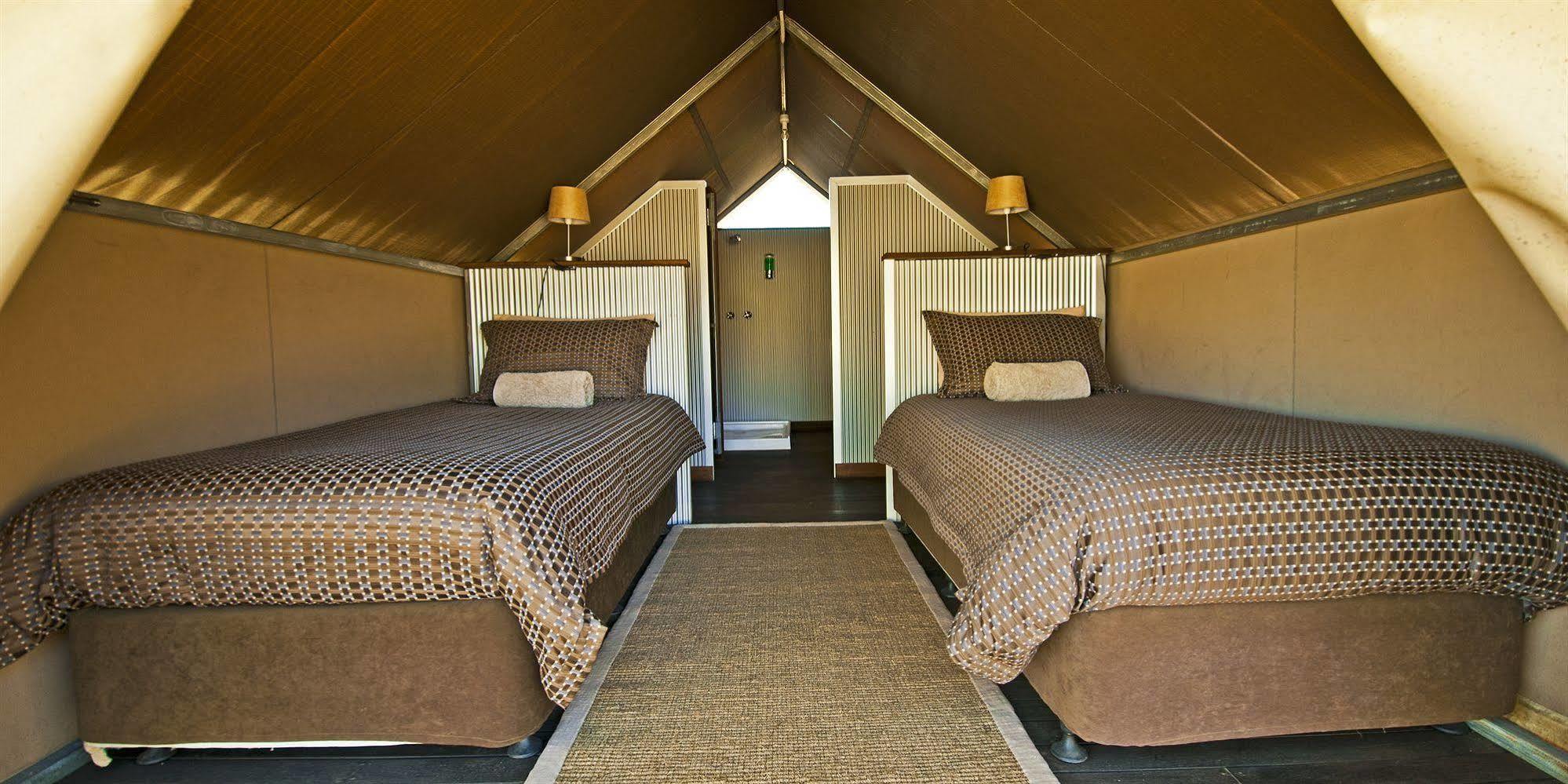 Bungle Bungle Wilderness Lodge Turkey Creek Eksteriør bilde